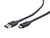 Gembird USB 3.0 AM to Type-C cable (AM/CM), 3m, black