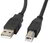 Lanberg cable USB 2.0 AM-BM with ferrite 1.8m black